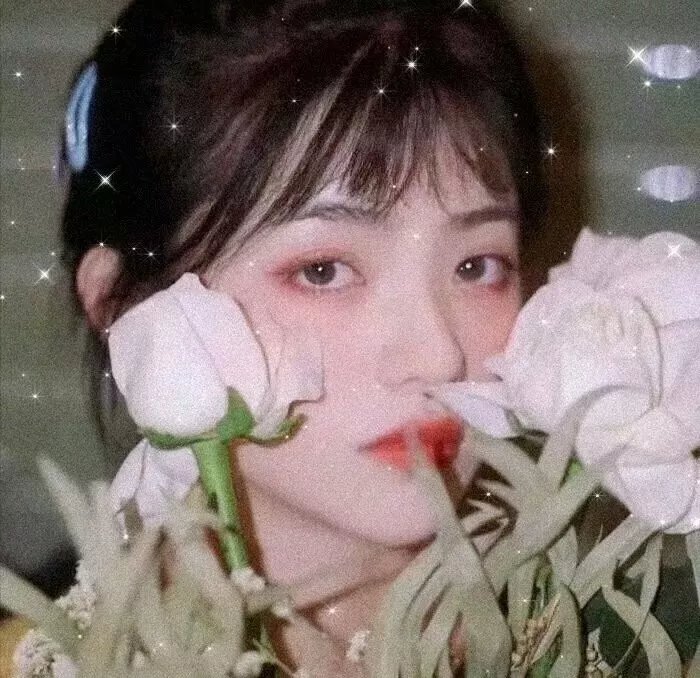 庇护